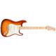 Fender American Professional Stratocaster Guitar Maple Neck ASH Sienna Sunburst Front