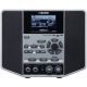 BOSS JS-10 eBand Audio Player w/ Guitar Effects 