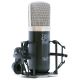Roswell Mini K47 Condenser Microphone w/Shockmount, Flight Case