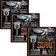 ERNIE BALL Coated Titanium RPS Skinny Top/Heavy Bottom Slinky Electric Guitar Strings(3115) -3 Pack