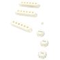 FENDER Pure Vintage '60s Stratocaster Accessory Kit