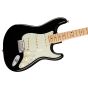 Fender American Professional Stratocaster Guitar Maple Neck Black angle2