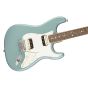 Fender American Professional Stratocaster HH Shawbucker Guitar Rosewood Sonic Gray angle1