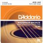 D'Addario EJ41 SET ACOUS PHOS BRZX-LITE 12STR Acoustic Guitar Strings