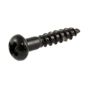 All Parts Tuning key screws (16 pcs), Black, #3 x 1/2" long