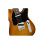 Fender American Performer Tele RW Neck, (w/gigbag), Honeyburst