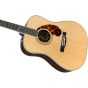 Fender PM-1 Limited Adirondack Dreadnought Acoustic Electric Rosewood