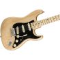 Fender American Professional Stratocaster Electric , Maple neck, w/case, Natural