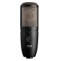 AKG P420 High Performance Large Diaphragm Dual-Capsule True Condenser Microphone