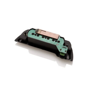EMG-ACS back