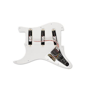 EMG DG20 David Gilmour Pickup Set (Ivory) back