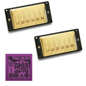 Seymour Duncan Antiquity Humbucker Pickup Set Aged Gold with Ernie Ball EB2220 Power Slinky Strings
