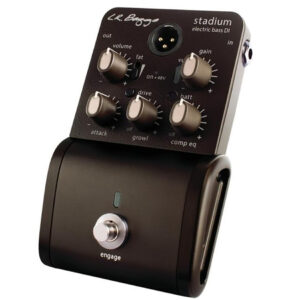 LR Baggs StadiumDI oblique