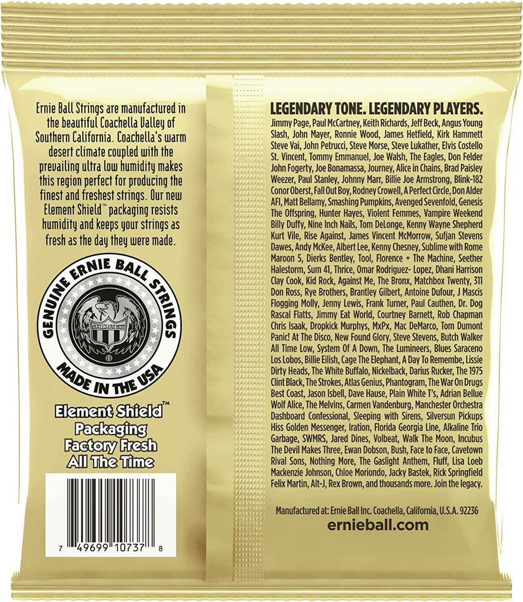 Ernie Ball 2013 Earthwood 12-String Custom Light 80/20 Bronze Acoustic Guitar Strings - 10-48 Gauge-138129