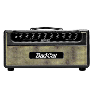Guitar Amplifiers