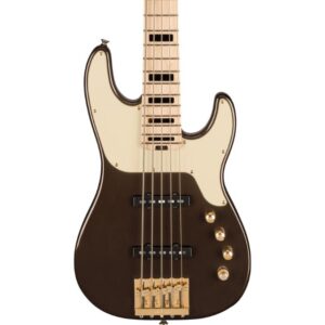 Jackson 291-7699-893 Adam Blackstone Pro Series Gladys 5-String Bass Guitar - Black Stone