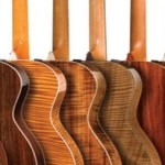 Wood Choice and Acoustic Guitar Tone